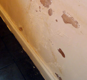 bad wall