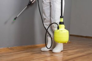 pest control measures